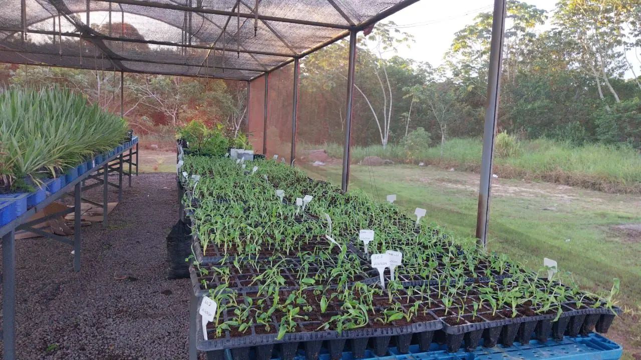 Biofábricas Ananas é incubada no Centro de Incubação e Desenvolvimento Empresarial (Cide). Foto: Divulgação