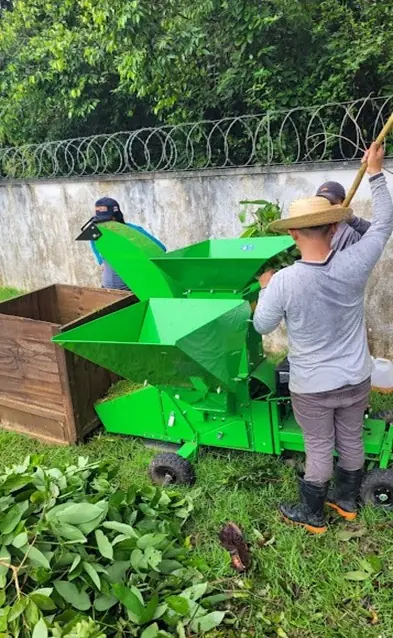 Resíduos de podas de árvore sutilizada para manta orgânica. Foto: Victor Hardt